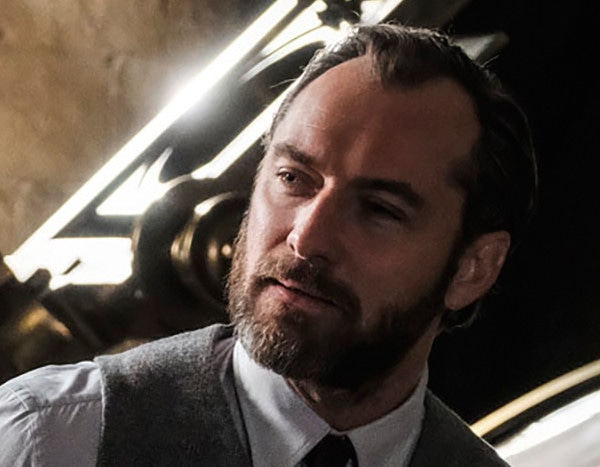 Jude Law Discusses Dumbledore's Sexuality in Fantastic Beasts